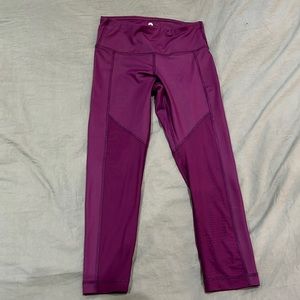 Purple cropped leggings with sheer legs